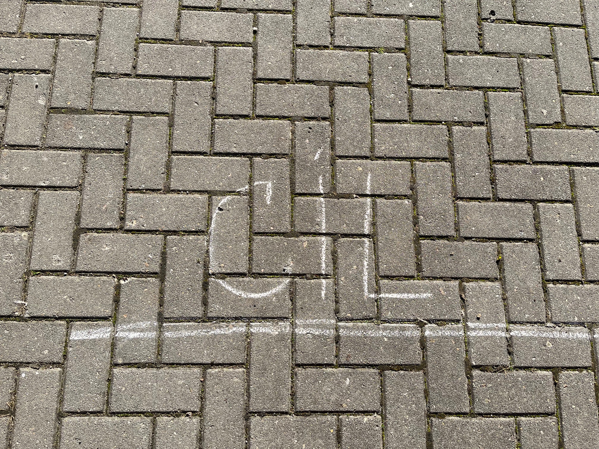 Ž