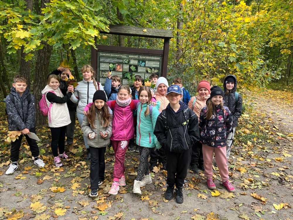 dc85a5d9-127c-4982-960f-3b9fe58e8b12