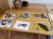 IMG-20250401-WA0003
