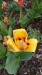 IMG-20250330-WA0000